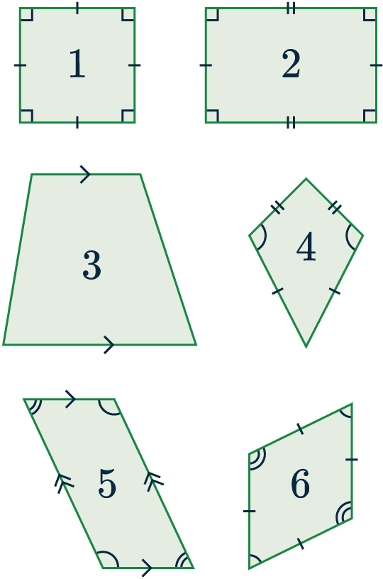 6 common quadrilaterals