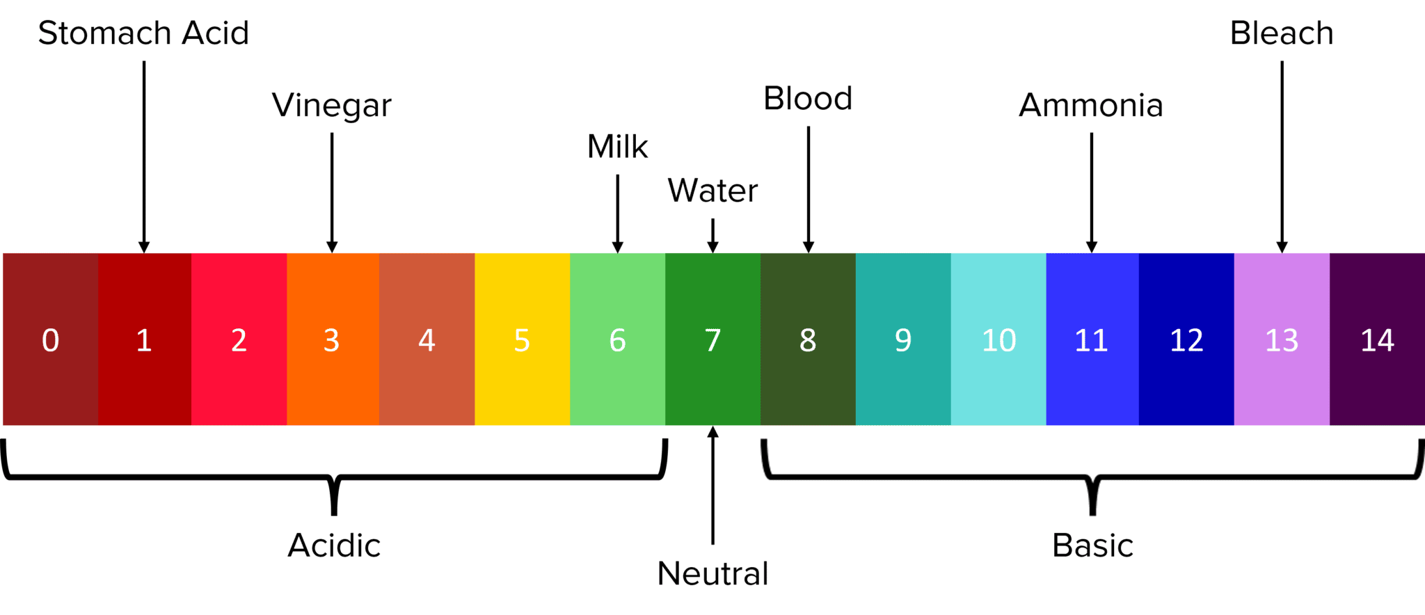 Acids and Bases Questions and Revision | MME