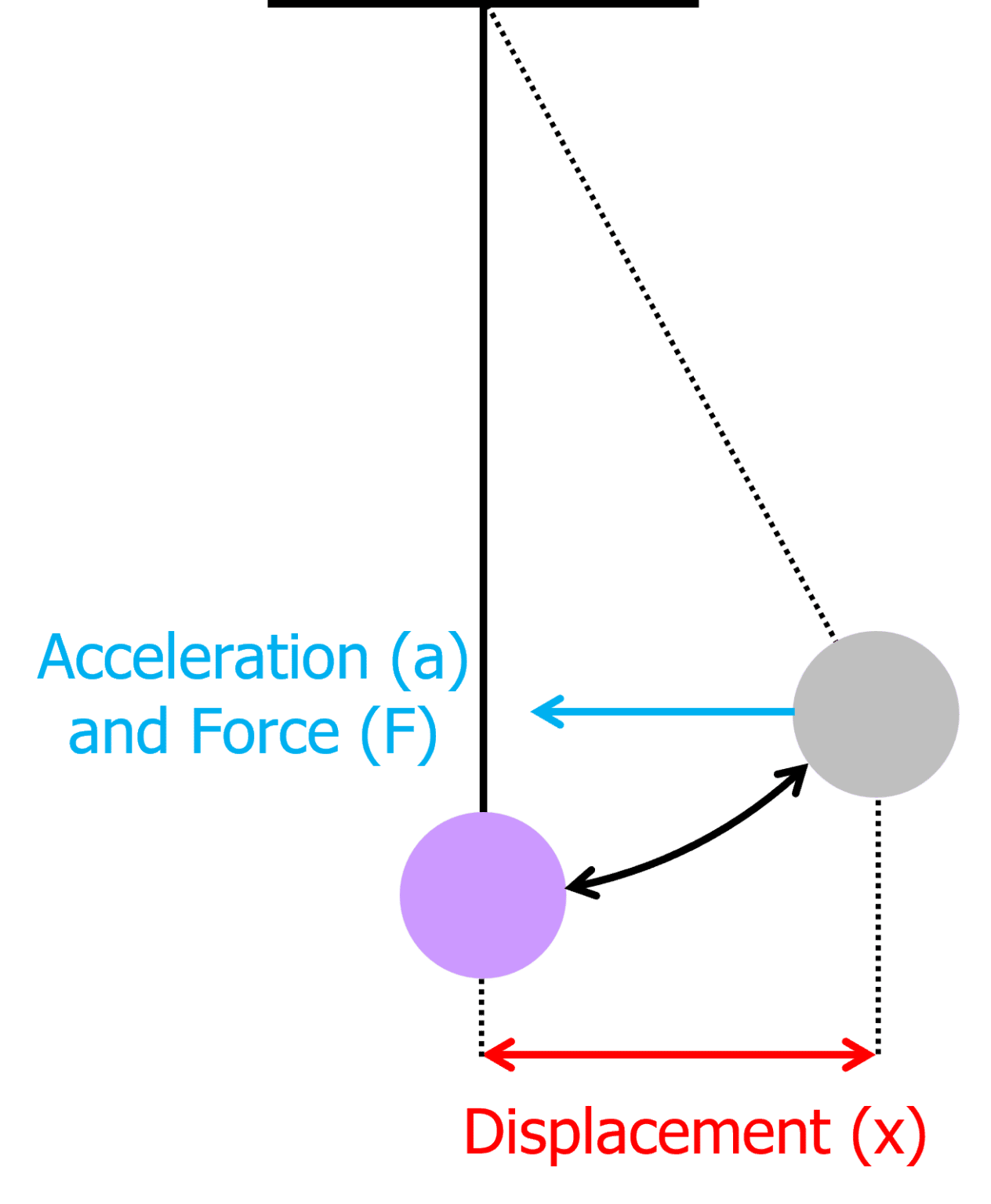 Simple Harmonic Motion Worksheets, Questions and Revision | MME