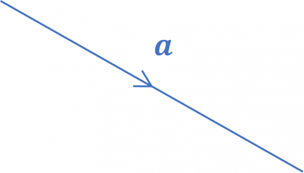 Vector Basics | Revision | MME