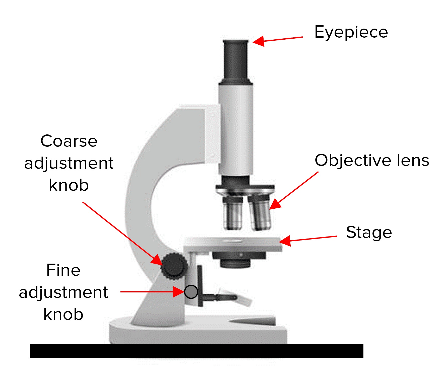 Microscopy Questions and Revision MME