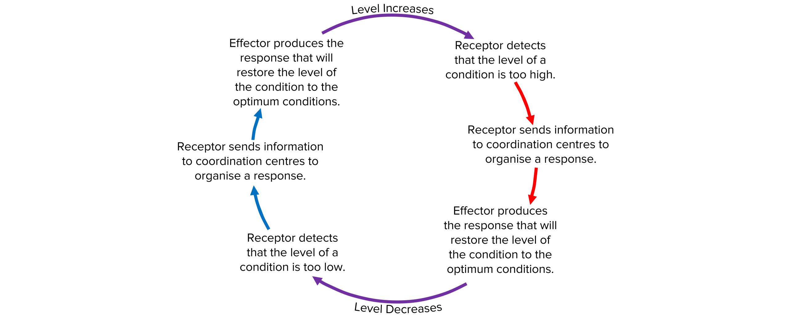 feedback-systems-questions-and-revision-mme