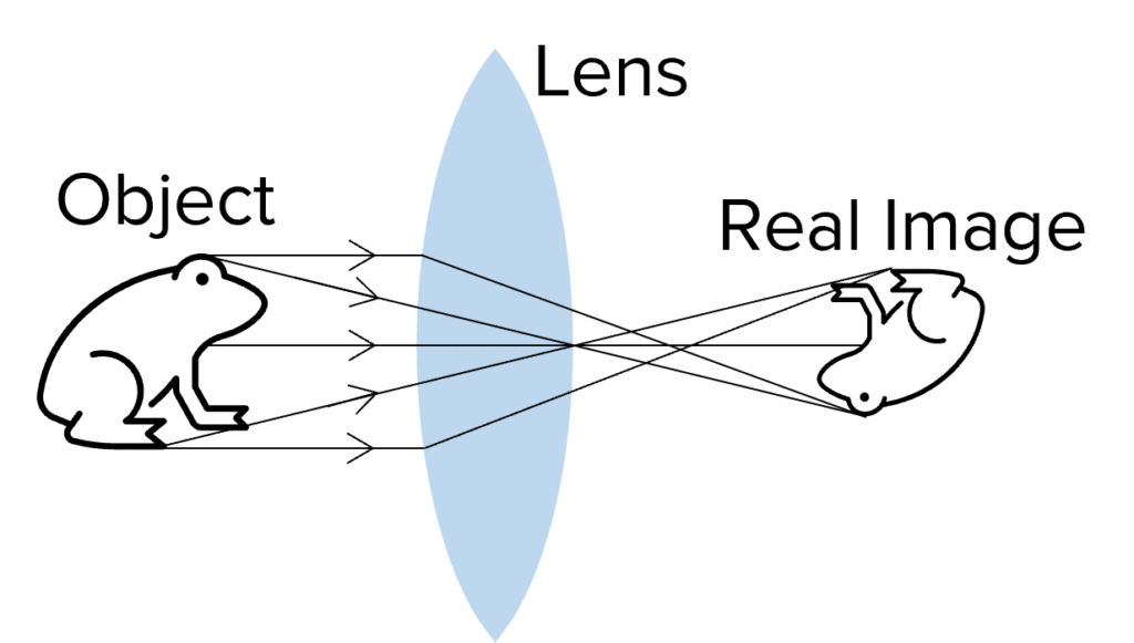 Lenses Worksheets, Questions and Revision MME