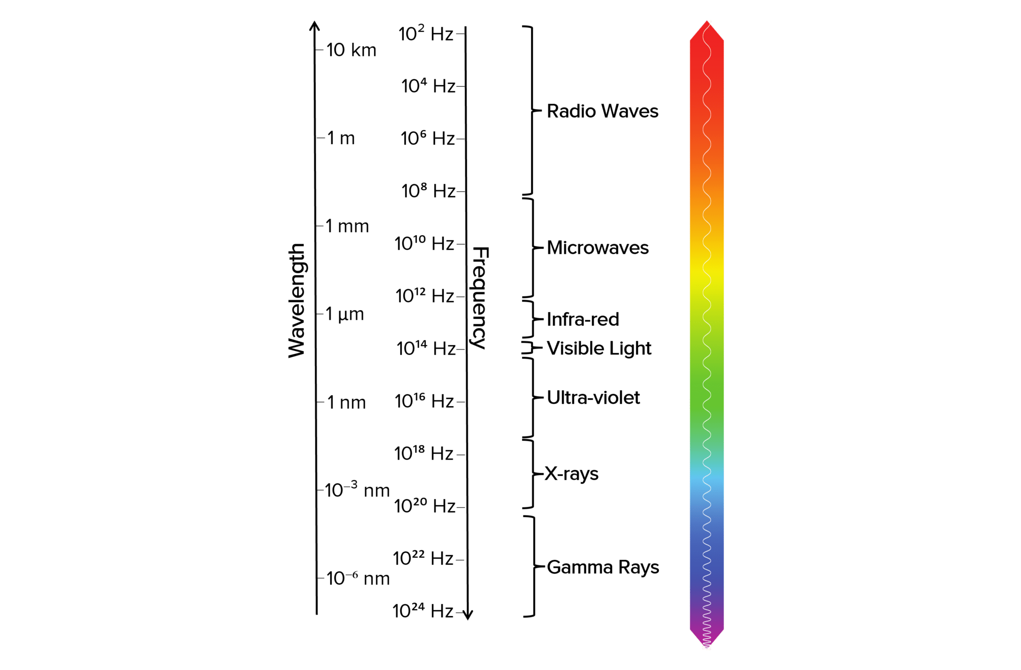 Waves Worksheets, Questions and Revision MME