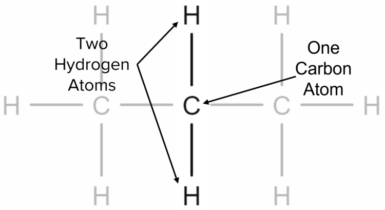 Hydrocarbons and Alkanes Questions and Revision | MM