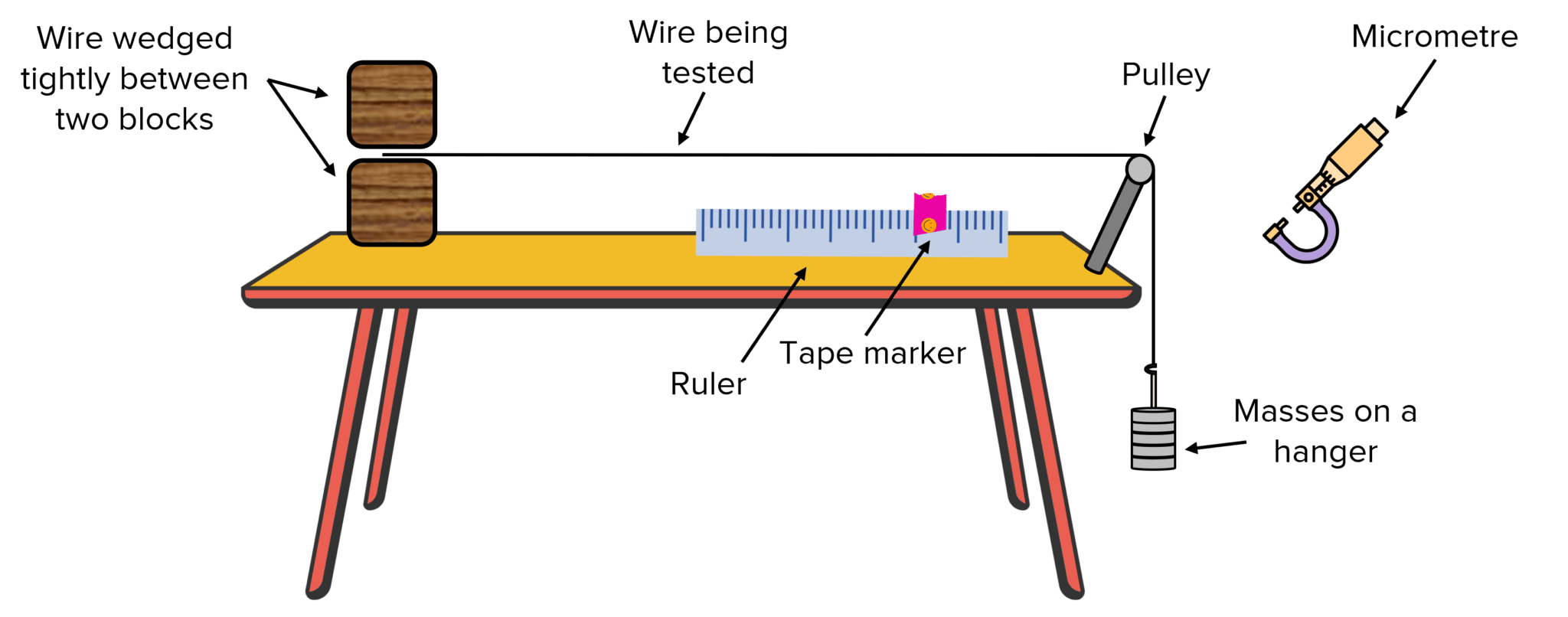 procedure of young's modulus experiment