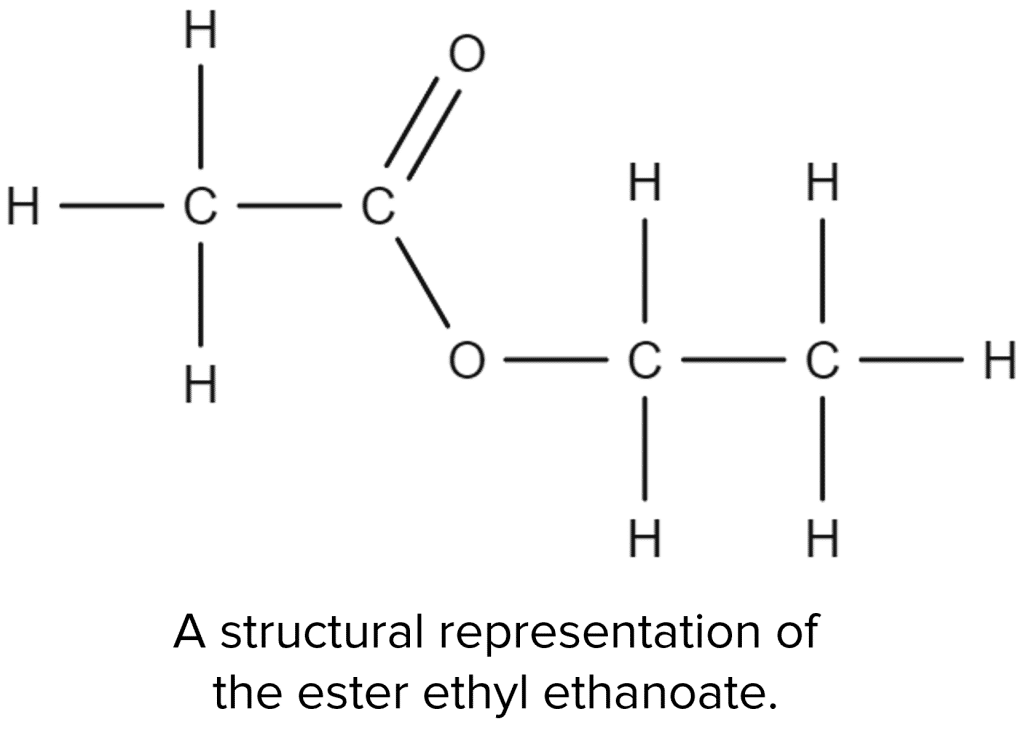 Carboxylic Acids Questions and Revision | MME